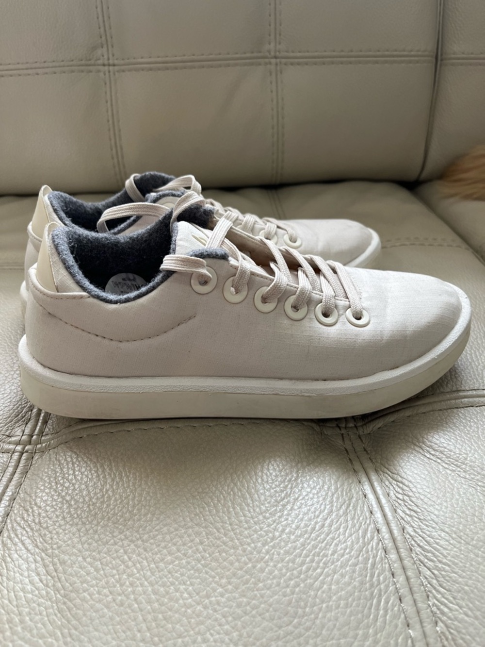 allbirds Women’s Sneakers in Off-White with Gray Lining